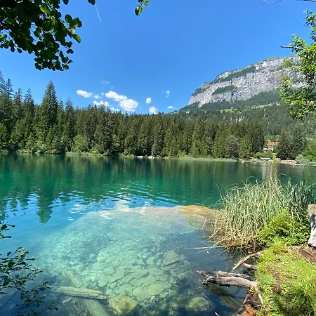 Crap Da Flem - 3.5 Am Sonnenhang Von Appartement