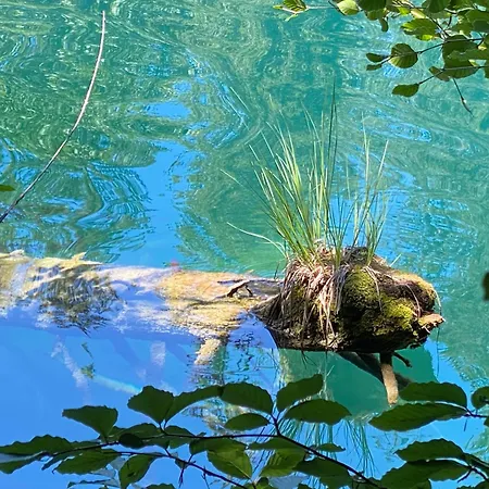 Crap Da Flem - 3.5 Am Sonnenhang Von *